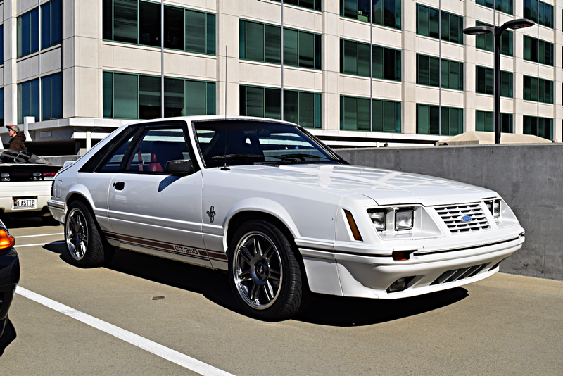 Illustration for article titled Magic City Octane Photodump from October and November